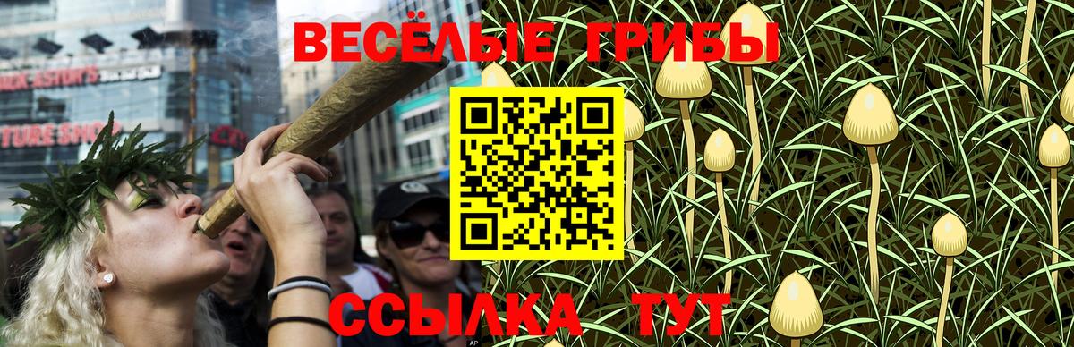 Сергиев Посад  купить наркотики сайты  Вход с VPN  Галлюциногенные грибы MAGIC MUSHROOMS 