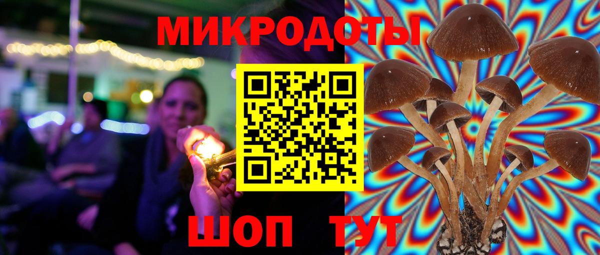 Галлюциногенные грибы мухоморы Сергиев Посад